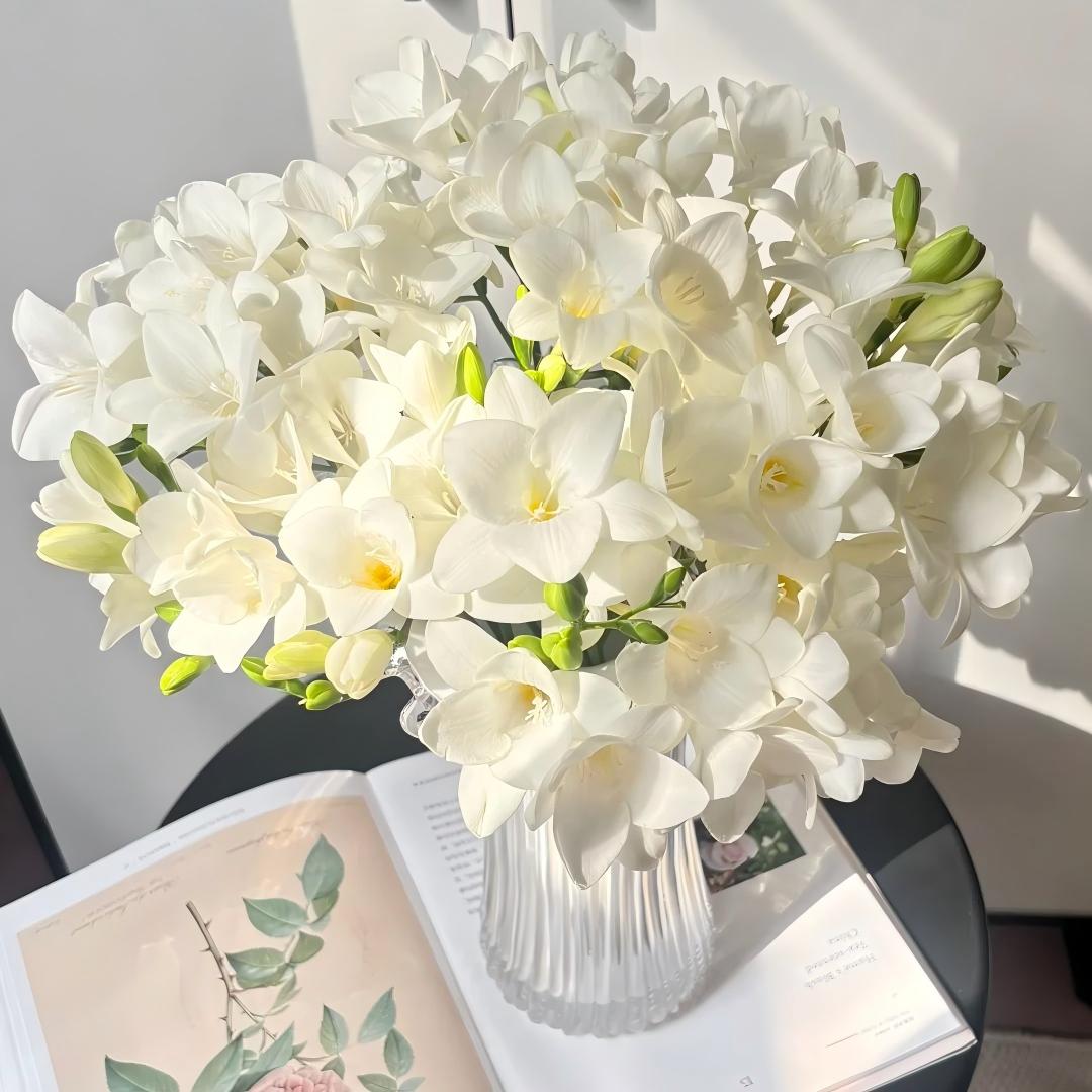 🌷Freesia Bulbs-World Famous Fragrance