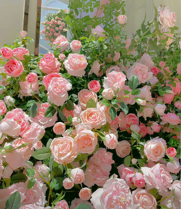 【7 days germination】🔥Last Day 70% OFF🌺Climbing Rose Seeds for Outdoor Planting Vibrant Ornamental Flowers for Family Garden Decoration